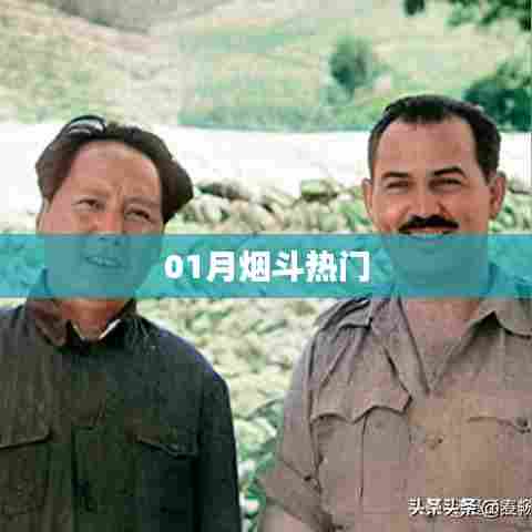 最新烟斗资讯,一月热点大盘点