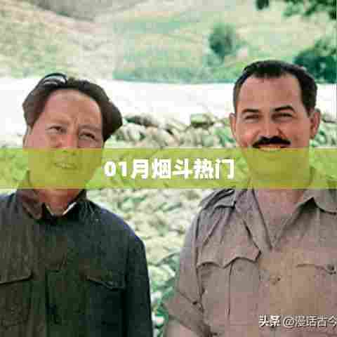 最新烟斗资讯,一月热点大盘点