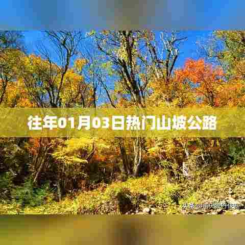 往年元旦假期热门山坡公路旅行攻略