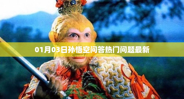 孙悟空问答热门问题最新动态(日期更新)