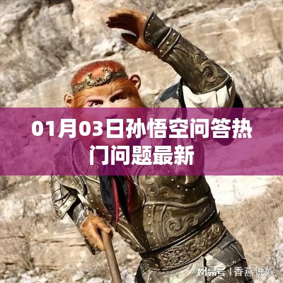 孙悟空问答热门问题最新动态(日期更新)