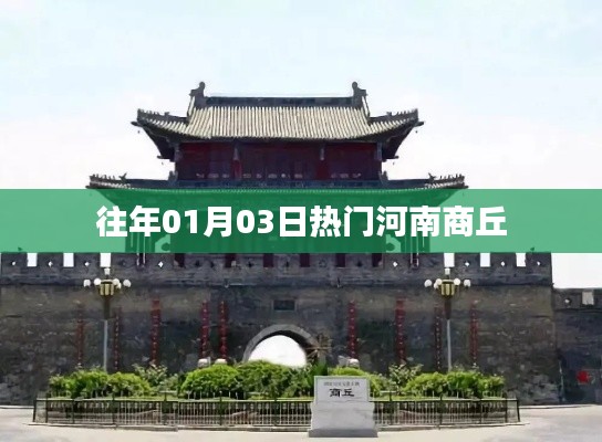 张皇无措 第4页