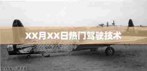 XX月XX日驾驶技术热点分享