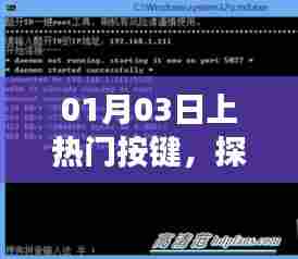 热门按键的秘密,掌握成功之路的关键要素