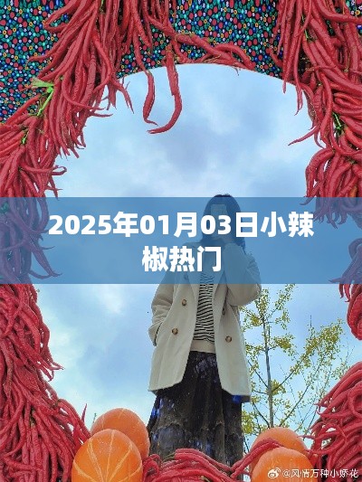 小辣椒热门资讯一网打尽,2025年1月3日最新动态