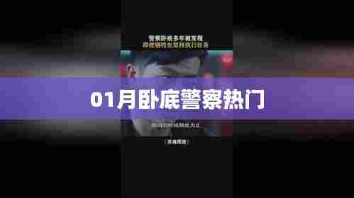 卧底警察一月追踪揭秘