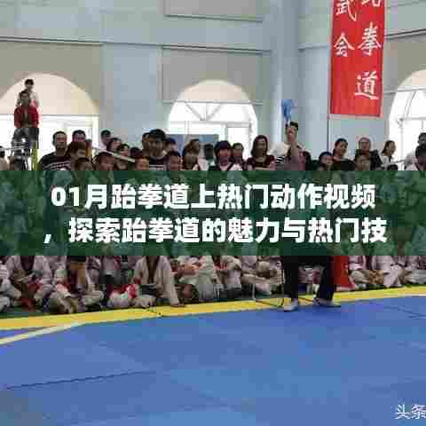 探索跆拳道魅力与技巧，热门动作视频解析