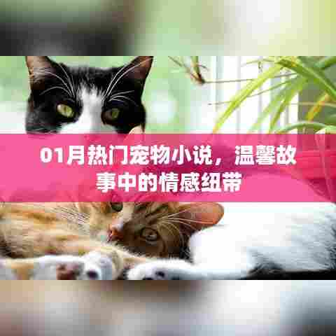 温馨宠物小说,情感纽带连结一月热门故事