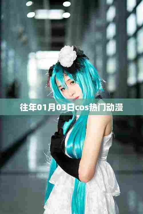 『历年元旦后cosplay热门动漫角色回顾』