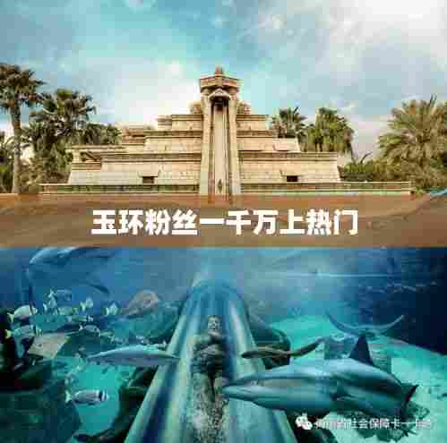 玉环粉丝突破千万大关,热门事件引关注