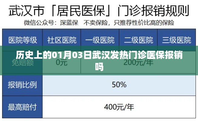 武汉发热门诊历史医保报销情况(日期,01月03日)