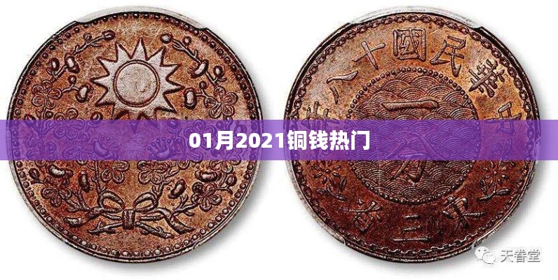2021年1月铜钱热门趋势概览