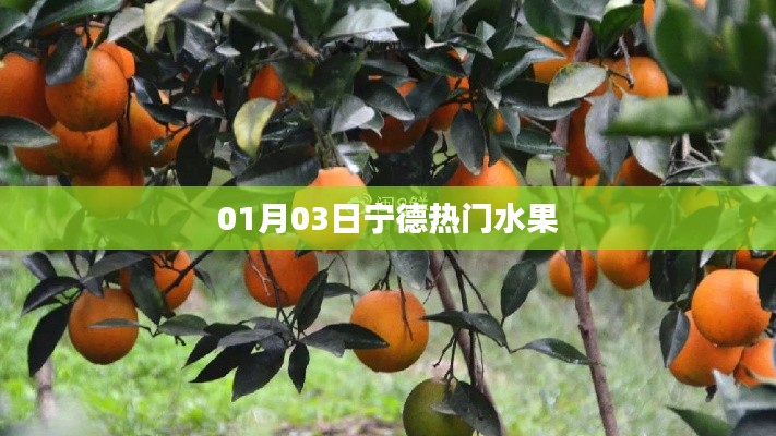 宁德热门水果，最新热门榜单（时间，01月03日）