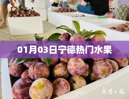 宁德热门水果,最新热门榜单(时间,01月03日)