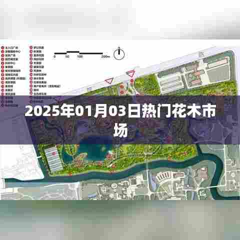 『2025年元旦热门花木市场趋势展望』