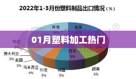 小鸟伊人 第5页