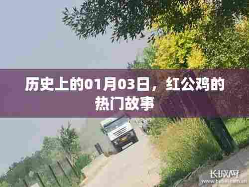 红公鸡故事揭秘,历史上的1月3日事件回顾