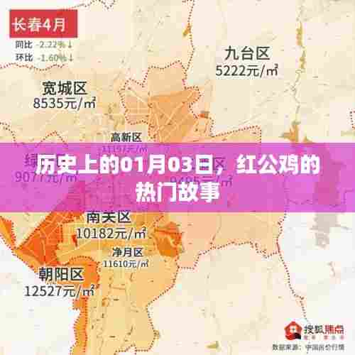 红公鸡故事揭秘,历史上的1月3日事件回顾