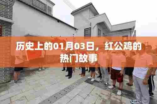 红公鸡故事揭秘,历史上的1月3日事件回顾