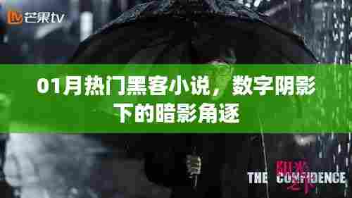 数字阴影下的暗影角逐,热门黑客小说盘点