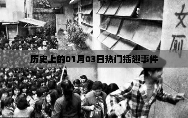 历史上的热门插翅事件,一月三日回顾