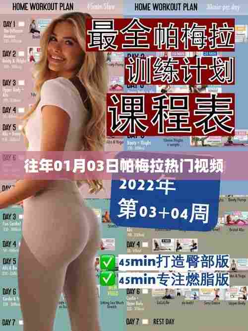 帕梅拉热门视频回顾,历年精选赏析