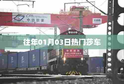 莎车县历年一月三日热点事件回顾