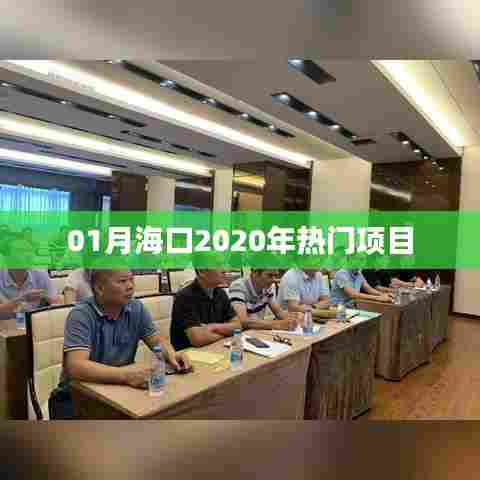 海口热门项目大盘点,2020年一月份必关注项目