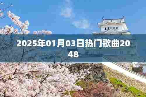 『2025年元旦流行之歌,热门歌曲2048』