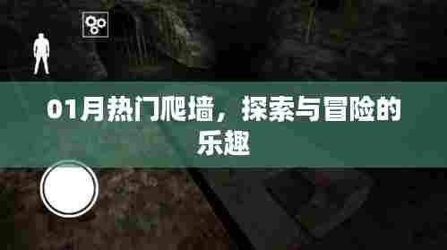 探索与冒险的乐趣,热门爬墙活动