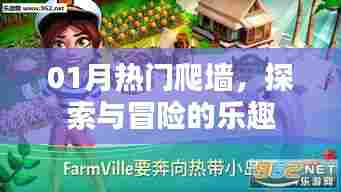 探索与冒险的乐趣,热门爬墙活动