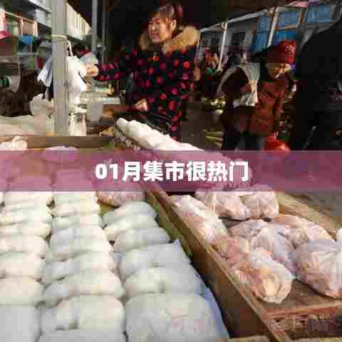 01月集市火热进行中