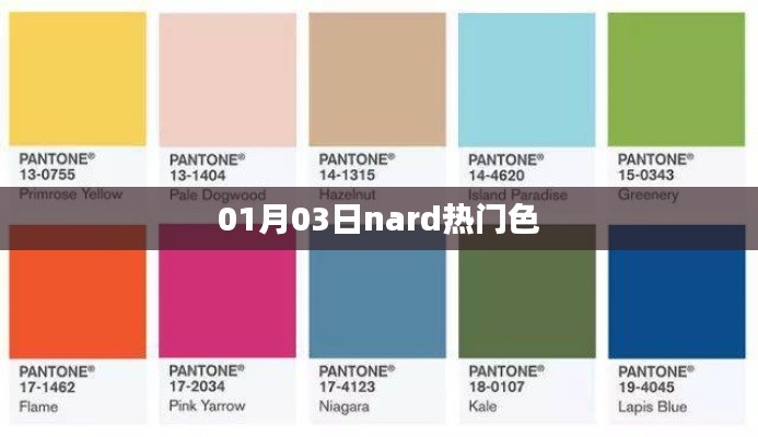 Nard热门色,最新潮流色彩解析