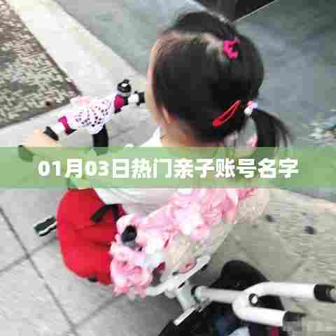 精选亲子账号名字，温馨亲子互动新风尚