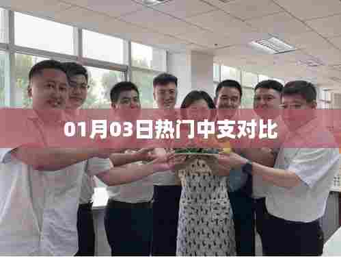 热门中支对比,最新解析,不容错过!