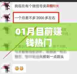 01月热门赚钱机遇解析
