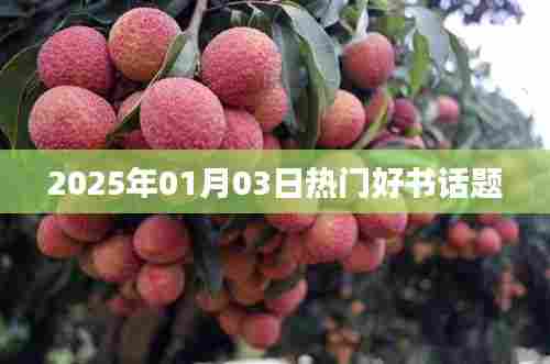 『2025年热门好书推荐』开启阅读盛宴