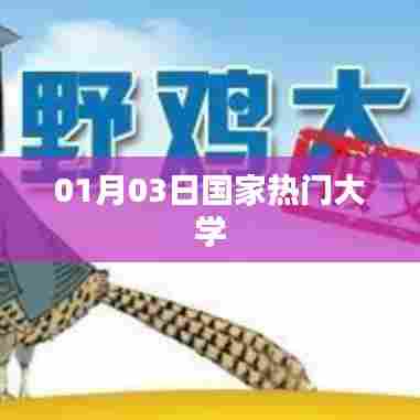 国家热门大学排名及解析