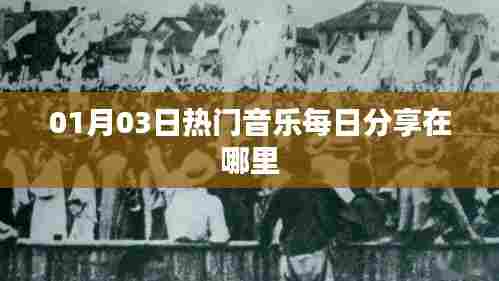 精选每日热门音乐分享推荐地