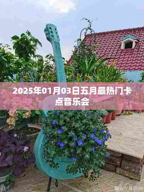 五月最火音乐会卡点盛宴,2025年跨年夜现场回顾