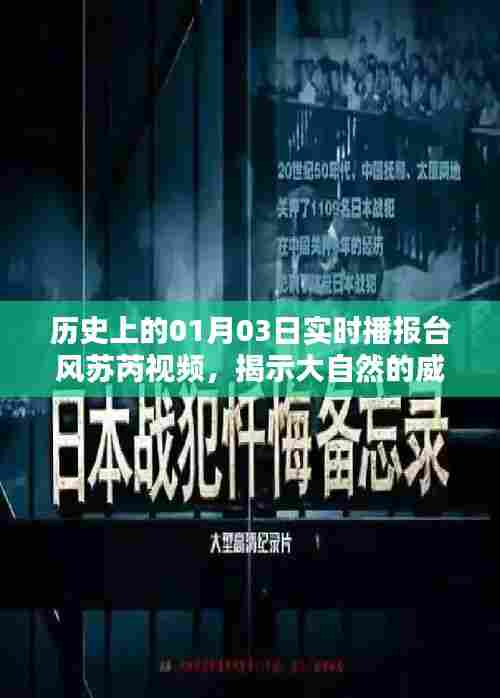 历史上的台风苏芮,大自然的威力与人类的应对之道(实时播报视频)