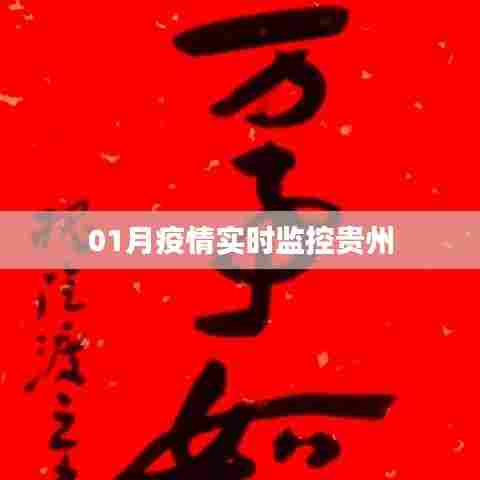 贵州疫情实时监控数据发布