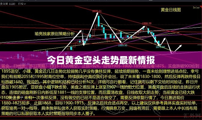 五光十色 第4页