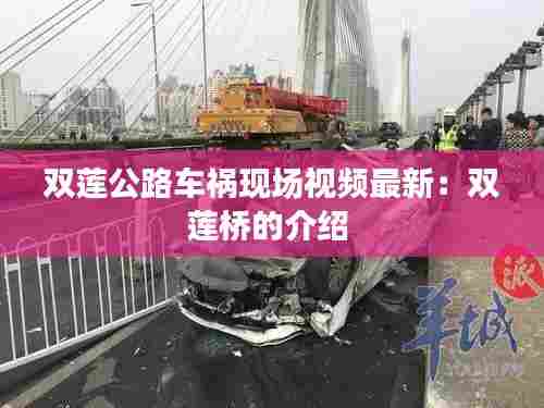 双莲公路车祸现场视频最新:双莲桥的介绍