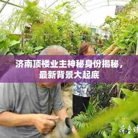 济南顶楼业主神秘身份揭秘,最新背景大起底