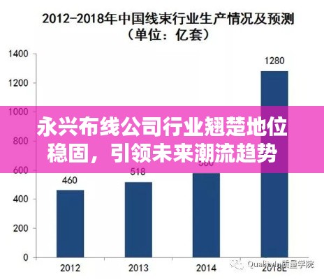 永兴布线公司行业翘楚地位稳固，引领未来潮流趋势
