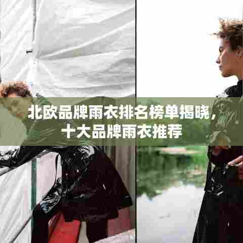 抛砖引玉 第4页