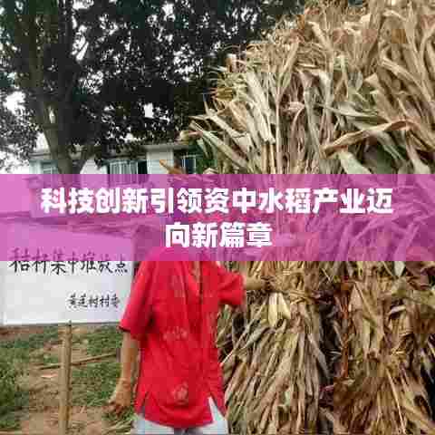 科技创新引领资中水稻产业迈向新篇章