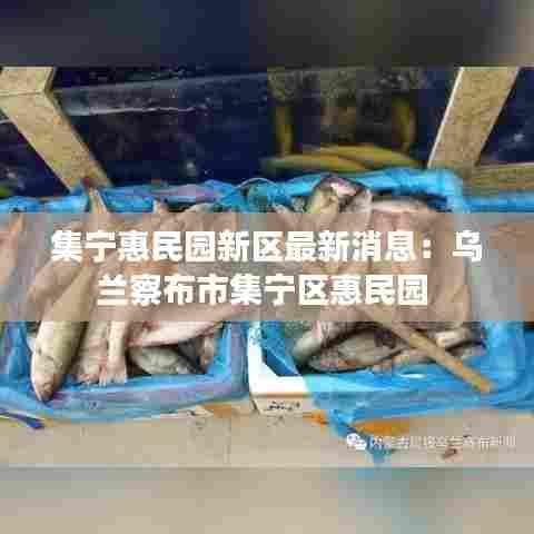 集宁惠民园新区最新消息:乌兰察布市集宁区惠民园