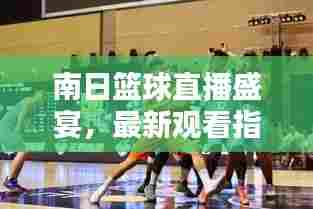 南日篮球直播盛宴，最新观看指南来袭！